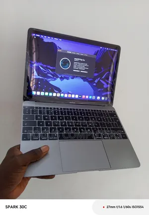 Laptop Apple MacBook 2015 8GB Intel Core M SSD 256GB