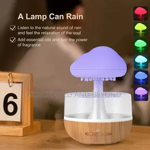 Cloud Rain Aromatherapy Humidifier Diffuser