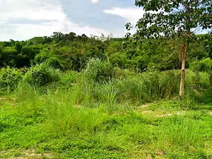 Solid Dry Land for Sale at Ikorodu