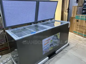Snowsea Bd-700g 520l Deep Freezer With Fast Freeze Function