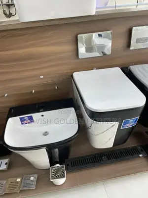 Black and Karara White Concealed Water Closet