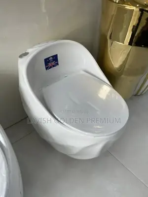 White Smart Water Closet