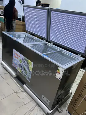 Snowsea 520l Bd-700g Freezer for Frozen Food Businesses