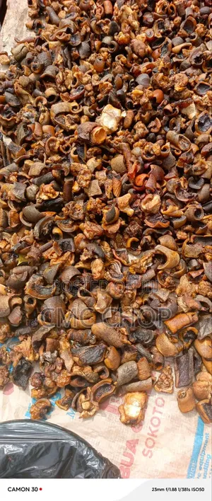 Bokoto (Dried Cow Head and Legs)