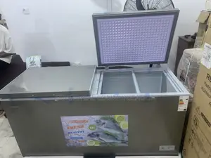 Snowsea Bd-700 Spacious Freezer With Lockable Lid