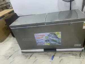 Snowsea Bd-700 Extra-Large Cold Room Freezer