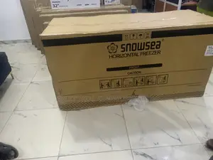 Snowsea Bd-700 Industrial-Strength Freezer