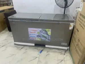 Snowsea Bd-700 Extra-Deep Cold Storage Freezer