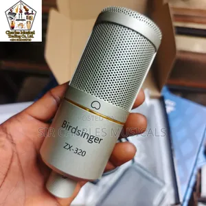 High Quality Birdsinger Zx-320 Condenser Studio Microphone