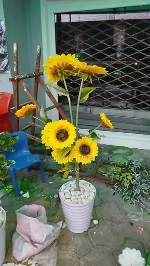 Sun Flower And Flower Vase