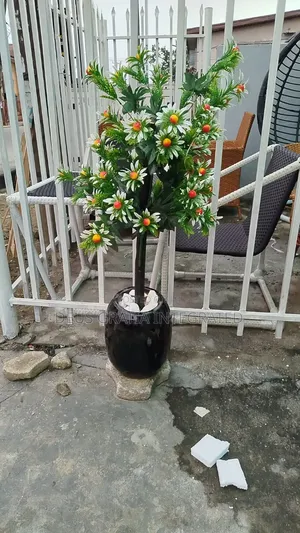 Fruit Flower Vase And Flowers