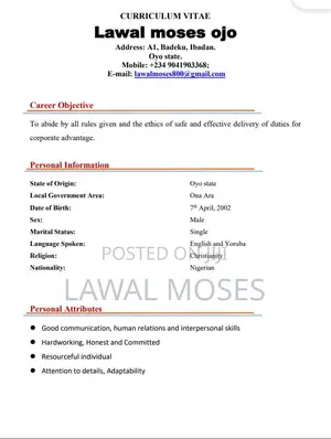Store Operations Assistant