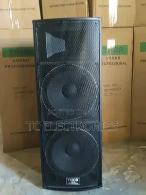Thor Full Range Professional Speaker