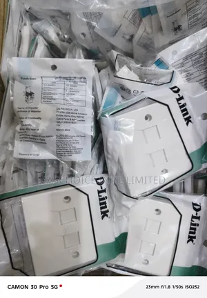 D-Link Double Faceplate + Modular Jack