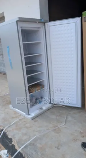 Ac/Dc Energy Saving Upright Freezer