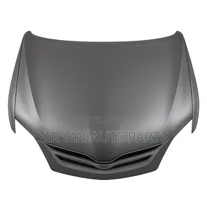 Bonnet For Venza 2010