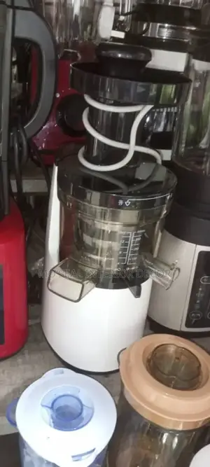 White Slow Juicer