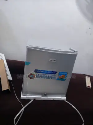 Polystar 45l Portable Bedroom Refrigerator