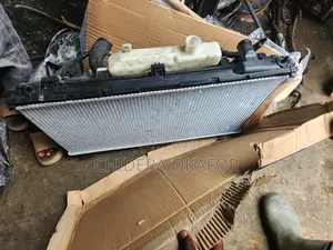 Radiator and Fan Is 250. 2017