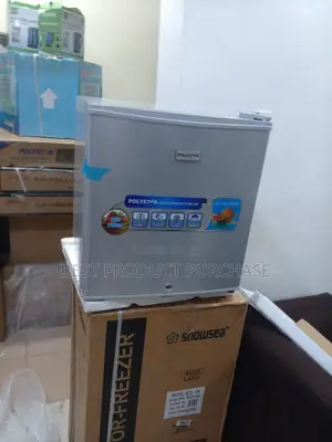 Polystar 45 Litres Mini Bedside Cooler