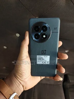 OnePlus 13 512 GB Black