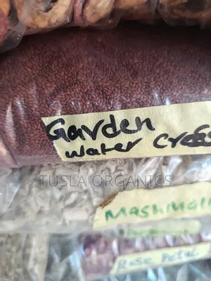 Garden Cress (Water Cress) Seed 250g