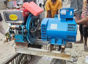 Best Rixuan Basic Diesel Generator 15kva With 1115 Engine 100% Copper