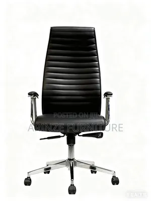 Executive Director Chair