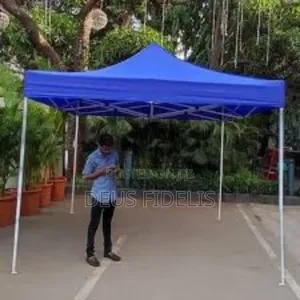 10 by 10 Foldable Gazebo Tent