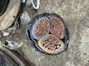 300mm 3core Armored Cable