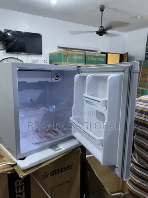 Aeon 45l Ars50g Bedroom Fridge With Freezer Chamber