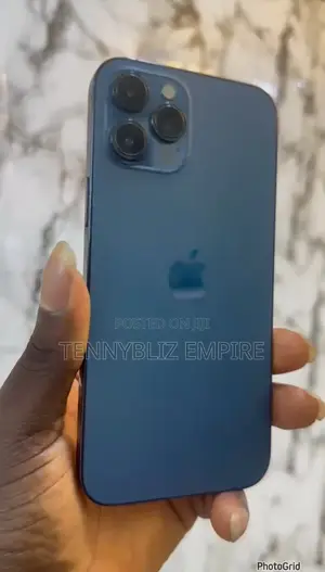Apple iPhone 12 Pro Max 256 GB Blue