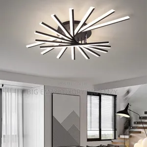 Modern Led Ceiling Light Fixture.