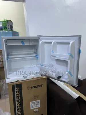 Polystar Bedside 45 Liters Fridge Silver | Pv-Bs81sl