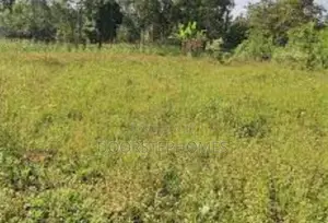 1.46 Hectares Commercial Land for Sale in Jiwa, Airport Road
