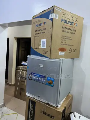 . Polystar Pv-Bs81sl Compact 45l Fridge for Room Corners