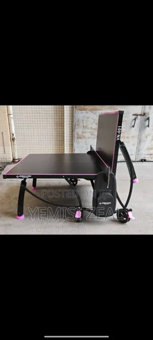 Durable Standard Table Tennis Board With Double Accessories