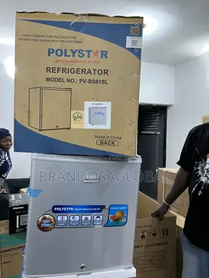 . Polystar Pv-Bs81sl 45l Bedroom Fridge With Adjustable Shelf