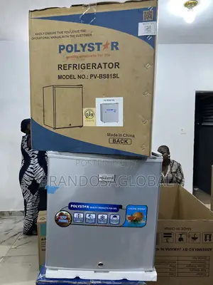 Polystar 45l Pv-Bs81sl Efficient Bedside Refrigerator