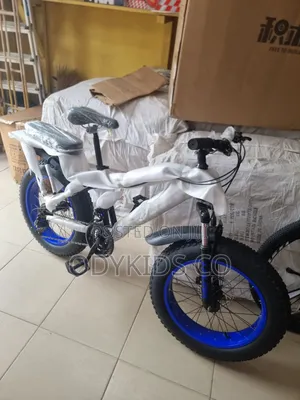 Quality Solid Fat Tire Bicycle for Teenagers and Adults 20inchs