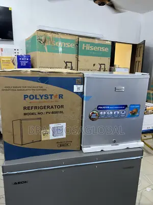 Polystar 45l Pv-Bs81sl Bedside Fridge With Long-Lasting Motor