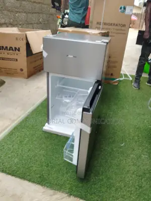Hisense Ref120dr Silver Double Door Refrigerator