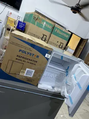 Polystar 45l Pv-Bs81sl Compact Refrigerator With Freezer Slot