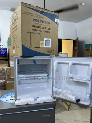 Polystar 45l Pv-Bs81sl Mini Fridge for Nursing Mothers