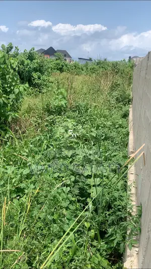 Half Plot of Land