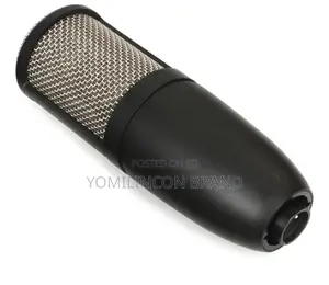 Akg Pro Audio P220 High-Performance Condenser Microphone