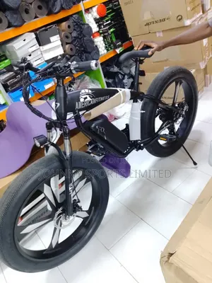 American Fitness Electric Bike