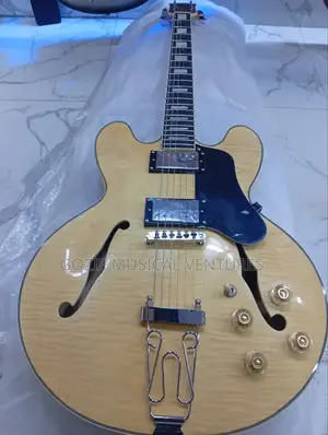 Ultimate Japan Semi Hollow Body Electric Guitar