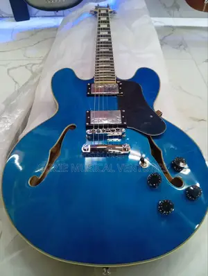 Fender Semi Hollow Body Electric Guitar