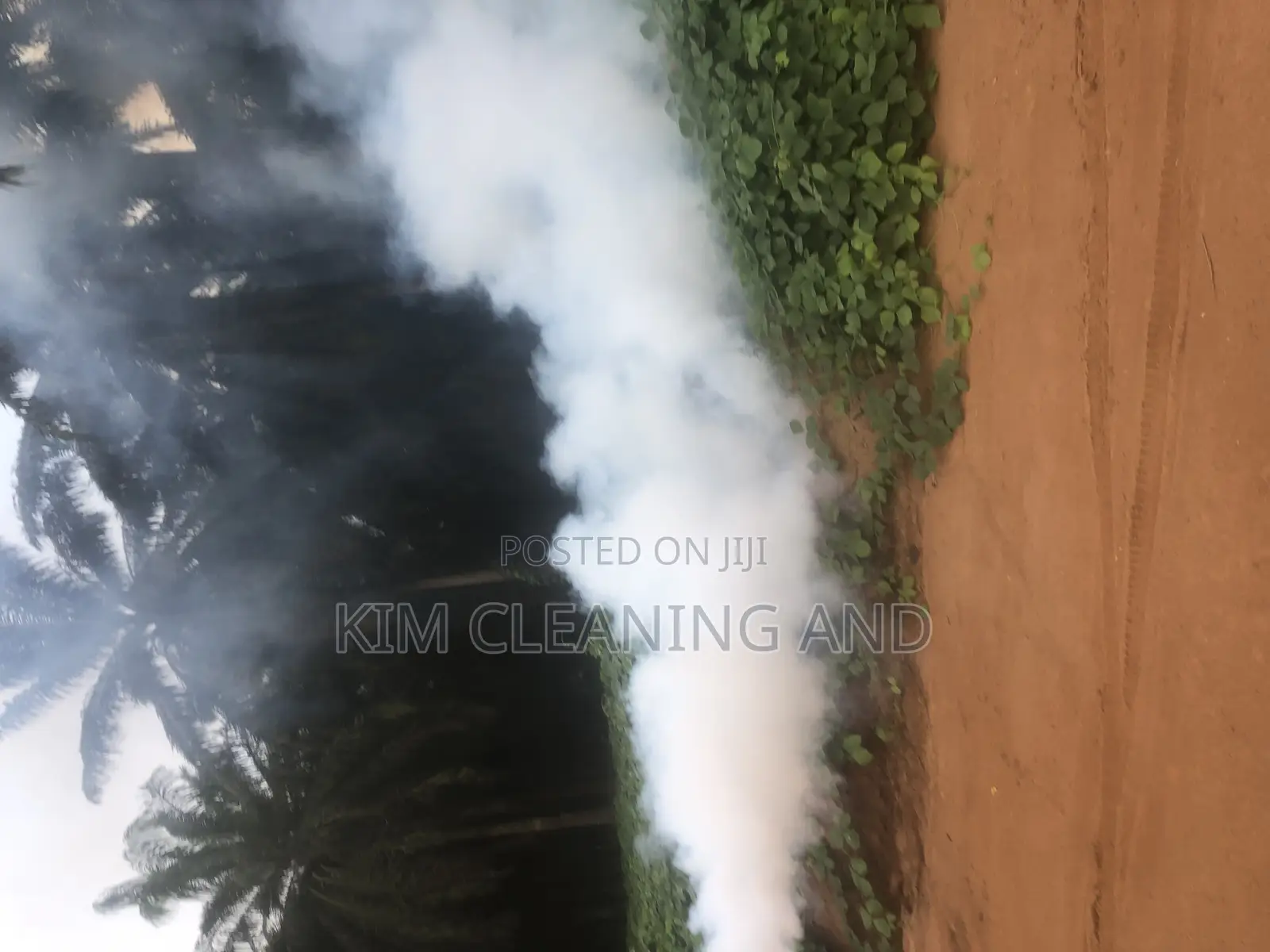 Pest/Insects Fumigation